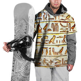 Накидка на куртку 3D с принтом Иероглифы , 100% полиэстер |  | египет | иероглифы | история | страны | цевилизация