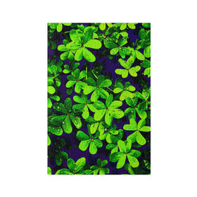 Обложка для паспорта матовая кожа с принтом Цветы , натуральная матовая кожа | размер 19,3 х 13,7 см; прозрачные пластиковые крепления | Тематика изображения на принте: flower | весна | лето | природа | тюльпаны