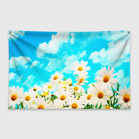 Флаг-баннер с принтом Ромашки , 100% полиэстер | размер 67 х 109 см, плотность ткани — 95 г/м2; по краям флага есть четыре люверса для крепления | весна | лето