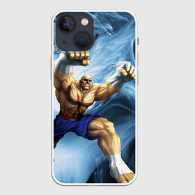 Чехол для iPhone 13 mini с принтом Muay thai 3 ,  |  | muay thai