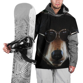 Накидка на куртку 3D с принтом Медведь в очках , 100% полиэстер |  | животное | медведь | новая | очки | природа | стильная