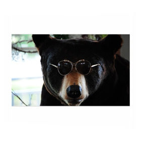 Бумага для упаковки 3D с принтом Медведь в очках , пластик и полированная сталь | круглая форма, металлическое крепление в виде кольца | животное | медведь | новая | очки | природа | стильная