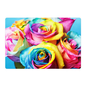 Магнитный плакат 3Х2 с принтом Радужная роза , Полимерный материал с магнитным слоем | 6 деталей размером 9*9 см | Тематика изображения на принте: бутон | лепестки | радуга | радужная роза | спектр | цвет | цветные | яркий