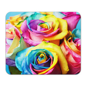 Коврик прямоугольный с принтом Радужная роза , натуральный каучук | размер 230 х 185 мм; запечатка лицевой стороны | бутон | лепестки | радуга | радужная роза | спектр | цвет | цветные | яркий