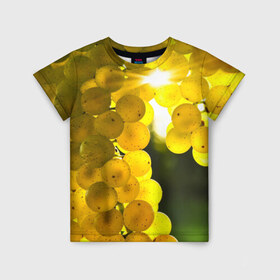 Детская футболка 3D с принтом Виноград , 100% гипоаллергенный полиэфир | прямой крой, круглый вырез горловины, длина до линии бедер, чуть спущенное плечо, ткань немного тянется | виноград | виноградник | лоза | лучи | солнце | ягоды