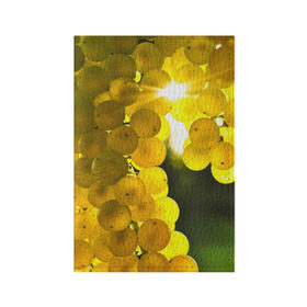 Обложка для паспорта матовая кожа с принтом Виноград , натуральная матовая кожа | размер 19,3 х 13,7 см; прозрачные пластиковые крепления | Тематика изображения на принте: виноград | виноградник | лоза | лучи | солнце | ягоды