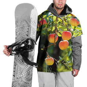 Накидка на куртку 3D с принтом Яблоки , 100% полиэстер |  | дерево | зелень | красные | сад