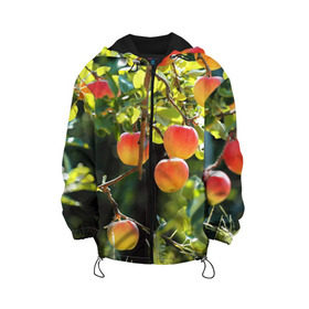 Детская куртка 3D с принтом Яблоки , 100% полиэстер | застежка — молния, подол и капюшон оформлены резинкой с фиксаторами, по бокам — два кармана без застежек, один потайной карман на груди, плотность верхнего слоя — 90 г/м2; плотность флисового подклада — 260 г/м2 | Тематика изображения на принте: дерево | зелень | красные | сад