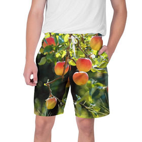 Мужские шорты 3D с принтом Яблоки ,  полиэстер 100% | прямой крой, два кармана без застежек по бокам. Мягкая трикотажная резинка на поясе, внутри которой широкие завязки. Длина чуть выше колен | дерево | зелень | красные | сад
