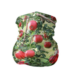 Бандана-труба 3D с принтом Яблоки , 100% полиэстер, ткань с особыми свойствами — Activecool | плотность 150‒180 г/м2; хорошо тянется, но сохраняет форму | дерево | зелень | красные | сад | яблоки
