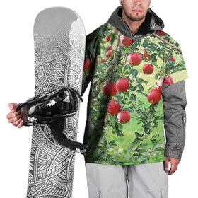 Накидка на куртку 3D с принтом Яблоки , 100% полиэстер |  | дерево | зелень | красные | сад | яблоки