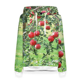 Женская толстовка 3D с принтом Яблоки , 100% полиэстер  | двухслойный капюшон со шнурком для регулировки, мягкие манжеты на рукавах и по низу толстовки, спереди карман-кенгуру с мягким внутренним слоем. | дерево | зелень | красные | сад | яблоки