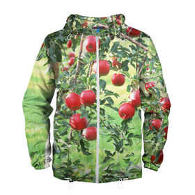 Мужская ветровка 3D с принтом Яблоки , 100% полиэстер | подол и капюшон оформлены резинкой с фиксаторами, два кармана без застежек по бокам, один потайной карман на груди | дерево | зелень | красные | сад | яблоки