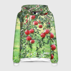 Мужская толстовка 3D с принтом Яблоки , 100% полиэстер | двухслойный капюшон со шнурком для регулировки, мягкие манжеты на рукавах и по низу толстовки, спереди карман-кенгуру с мягким внутренним слоем. | дерево | зелень | красные | сад | яблоки