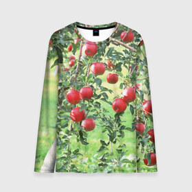 Мужской лонгслив 3D с принтом Яблоки , 100% полиэстер | длинные рукава, круглый вырез горловины, полуприлегающий силуэт | дерево | зелень | красные | сад | яблоки