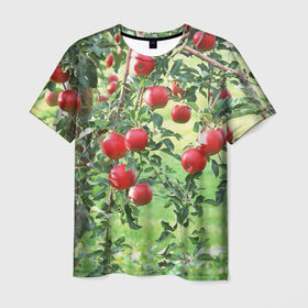 Мужская футболка 3D с принтом Яблоки , 100% полиэфир | прямой крой, круглый вырез горловины, длина до линии бедер | дерево | зелень | красные | сад | яблоки
