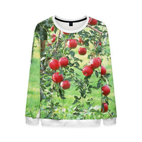 Мужской свитшот 3D с принтом Яблоки , 100% полиэстер с мягким внутренним слоем | круглый вырез горловины, мягкая резинка на манжетах и поясе, свободная посадка по фигуре | дерево | зелень | красные | сад | яблоки