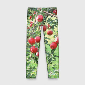 Детские леггинсы 3D с принтом Яблоки , полиэстер 85%, спандекс 15% | эластичный пояс, зауженный крой | дерево | зелень | красные | сад | яблоки