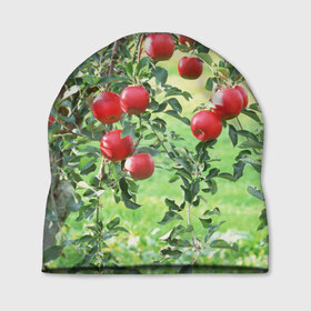 Шапка 3D с принтом Яблоки , 100% полиэстер | универсальный размер, печать по всей поверхности изделия | дерево | зелень | красные | сад | яблоки