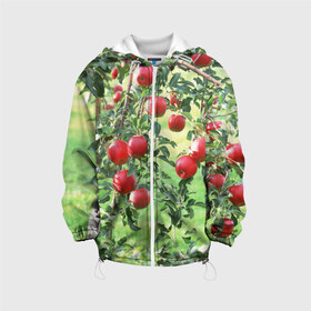 Детская куртка 3D с принтом Яблоки , 100% полиэстер | застежка — молния, подол и капюшон оформлены резинкой с фиксаторами, по бокам — два кармана без застежек, один потайной карман на груди, плотность верхнего слоя — 90 г/м2; плотность флисового подклада — 260 г/м2 | дерево | зелень | красные | сад | яблоки