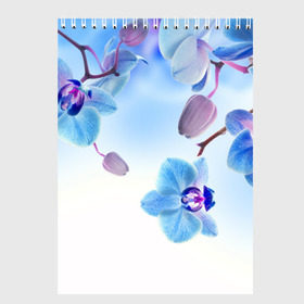 Скетчбук с принтом Голубая орхидея , 100% бумага
 | 48 листов, плотность листов — 100 г/м2, плотность картонной обложки — 250 г/м2. Листы скреплены сверху удобной пружинной спиралью | Тематика изображения на принте: голубая орхидея | красота | орхидеи | природа | цветок | цветочек | цветы