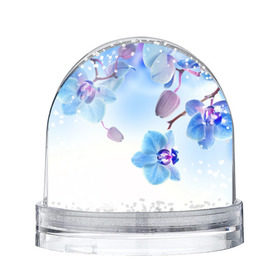 Снежный шар с принтом Голубая орхидея , Пластик | Изображение внутри шара печатается на глянцевой фотобумаге с двух сторон | голубая орхидея | красота | орхидеи | природа | цветок | цветочек | цветы