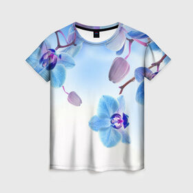 Женская футболка 3D с принтом Голубая орхидея , 100% полиэфир ( синтетическое хлопкоподобное полотно) | прямой крой, круглый вырез горловины, длина до линии бедер | Тематика изображения на принте: голубая орхидея | красота | орхидеи | природа | цветок | цветочек | цветы