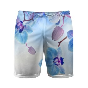 Мужские шорты 3D спортивные с принтом Голубая орхидея ,  |  | Тематика изображения на принте: голубая орхидея | красота | орхидеи | природа | цветок | цветочек | цветы