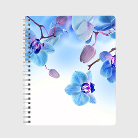 Тетрадь с принтом Голубая орхидея , 100% бумага | 48 листов, плотность листов — 60 г/м2, плотность картонной обложки — 250 г/м2. Листы скреплены сбоку удобной пружинной спиралью. Уголки страниц и обложки скругленные. Цвет линий — светло-серый
 | голубая орхидея | красота | орхидеи | природа | цветок | цветочек | цветы