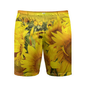 Мужские шорты 3D спортивные с принтом Подсолнухи ,  |  | желтый | солнце | цветок | яркий