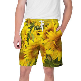 Мужские шорты 3D с принтом Подсолнухи ,  полиэстер 100% | прямой крой, два кармана без застежек по бокам. Мягкая трикотажная резинка на поясе, внутри которой широкие завязки. Длина чуть выше колен | желтый | солнце | цветок | яркий