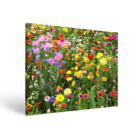 Холст прямоугольный с принтом Полевые цветы 1 , 100% ПВХ |  | поле | полевые цветы | цветы