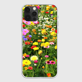 Чехол для iPhone 12 Pro Max с принтом Полевые цветы 1 , Силикон |  | Тематика изображения на принте: поле | полевые цветы | цветы
