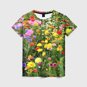 Женская футболка 3D с принтом Полевые цветы 1 , 100% полиэфир ( синтетическое хлопкоподобное полотно) | прямой крой, круглый вырез горловины, длина до линии бедер | поле | полевые цветы | цветы
