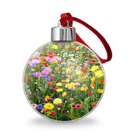 Ёлочный шар с принтом Полевые цветы 1 , Пластик | Диаметр: 77 мм | поле | полевые цветы | цветы