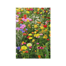 Обложка для паспорта матовая кожа с принтом Полевые цветы 1 , натуральная матовая кожа | размер 19,3 х 13,7 см; прозрачные пластиковые крепления | Тематика изображения на принте: поле | полевые цветы | цветы
