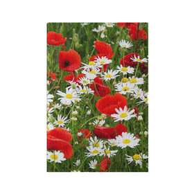 Обложка для паспорта матовая кожа с принтом Полевые цветы 2 , натуральная матовая кожа | размер 19,3 х 13,7 см; прозрачные пластиковые крепления | поле | полевые цветы | цветы