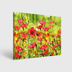 Холст прямоугольный с принтом Полевые цветы 5 , 100% ПВХ |  | поле | полевые цветы | цветы