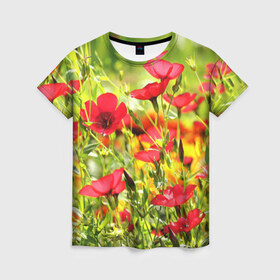 Женская футболка 3D с принтом Полевые цветы 5 , 100% полиэфир ( синтетическое хлопкоподобное полотно) | прямой крой, круглый вырез горловины, длина до линии бедер | поле | полевые цветы | цветы
