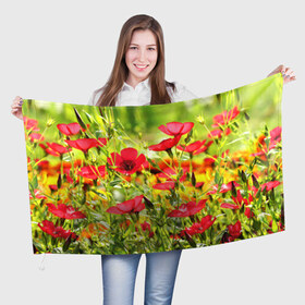 Флаг 3D с принтом Полевые цветы 5 , 100% полиэстер | плотность ткани — 95 г/м2, размер — 67 х 109 см. Принт наносится с одной стороны | поле | полевые цветы | цветы