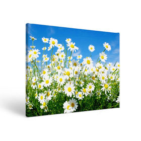 Холст прямоугольный с принтом Полевые цветы 7 , 100% ПВХ |  | поле | полевые цветы | цветы