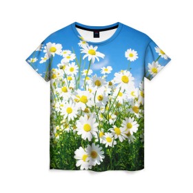 Женская футболка 3D с принтом Полевые цветы 7 , 100% полиэфир ( синтетическое хлопкоподобное полотно) | прямой крой, круглый вырез горловины, длина до линии бедер | поле | полевые цветы | цветы