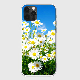 Чехол для iPhone 12 Pro Max с принтом Полевые цветы 7 , Силикон |  | Тематика изображения на принте: поле | полевые цветы | цветы