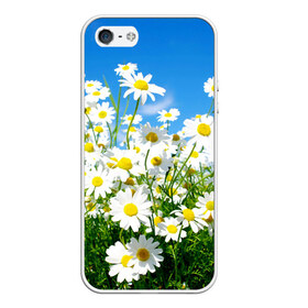 Чехол для iPhone 5/5S матовый с принтом Полевые цветы 7 , Силикон | Область печати: задняя сторона чехла, без боковых панелей | поле | полевые цветы | цветы
