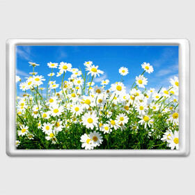 Магнит 45*70 с принтом Полевые цветы 7 , Пластик | Размер: 78*52 мм; Размер печати: 70*45 | поле | полевые цветы | цветы