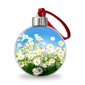 Ёлочный шар с принтом Полевые цветы 7 , Пластик | Диаметр: 77 мм | поле | полевые цветы | цветы