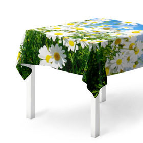 Скатерть 3D с принтом Полевые цветы 7 , 100% полиэстер (ткань не мнется и не растягивается) | Размер: 150*150 см | поле | полевые цветы | цветы
