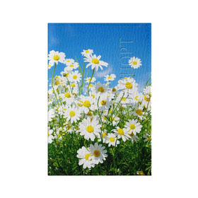 Обложка для паспорта матовая кожа с принтом Полевые цветы 7 , натуральная матовая кожа | размер 19,3 х 13,7 см; прозрачные пластиковые крепления | поле | полевые цветы | цветы