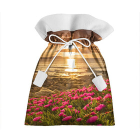 Подарочный 3D мешок с принтом Полевые цветы 9 , 100% полиэстер | Размер: 29*39 см | поле | полевые цветы | цветы