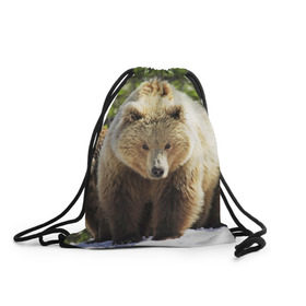 Рюкзак-мешок 3D с принтом Медведи , 100% полиэстер | плотность ткани — 200 г/м2, размер — 35 х 45 см; лямки — толстые шнурки, застежка на шнуровке, без карманов и подкладки | звери | медведь | мишка | природа
